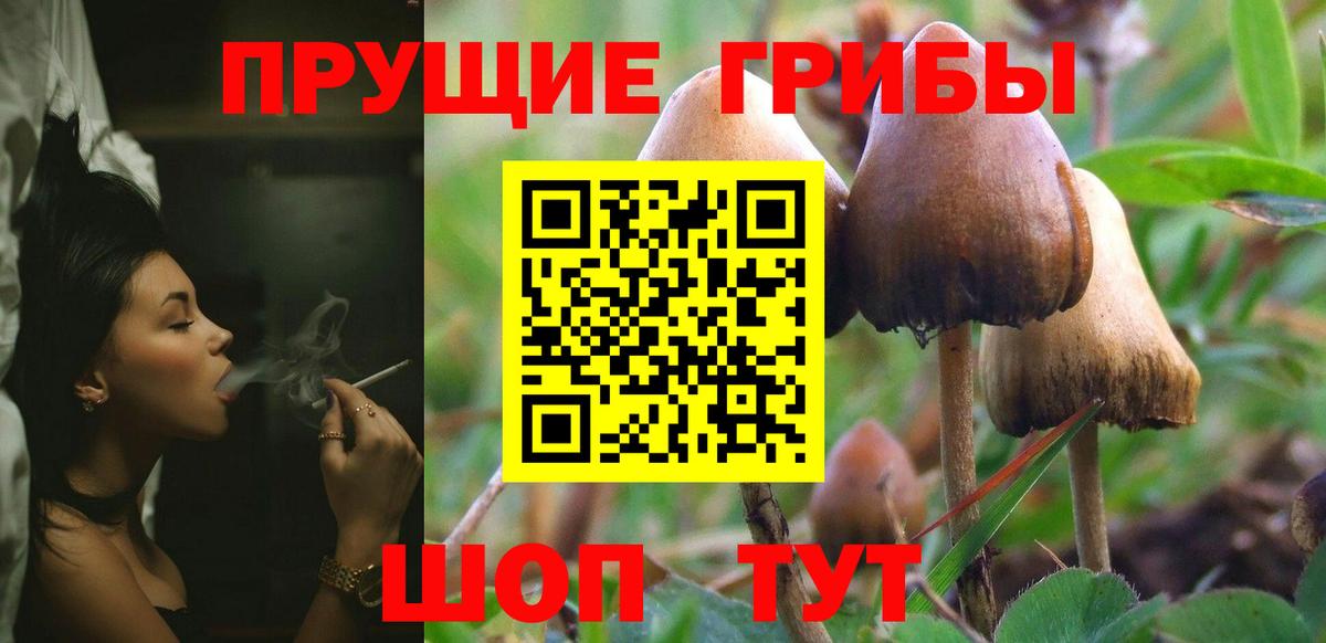 Галлюциногенные грибы GOLDEN TEACHER  Галлюциногенные грибы Magic Shrooms  цена наркотик  Вход с VPN  Энгельс 